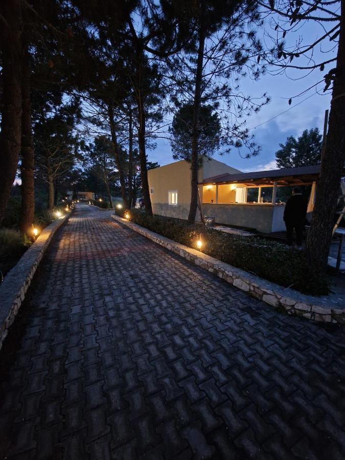 Alexandra Studio 6 莱夫基米 外观 照片